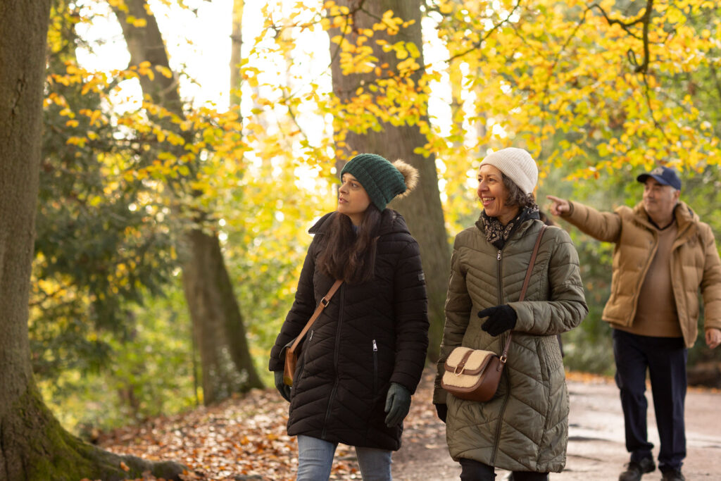 Walking in Autumn Woodland