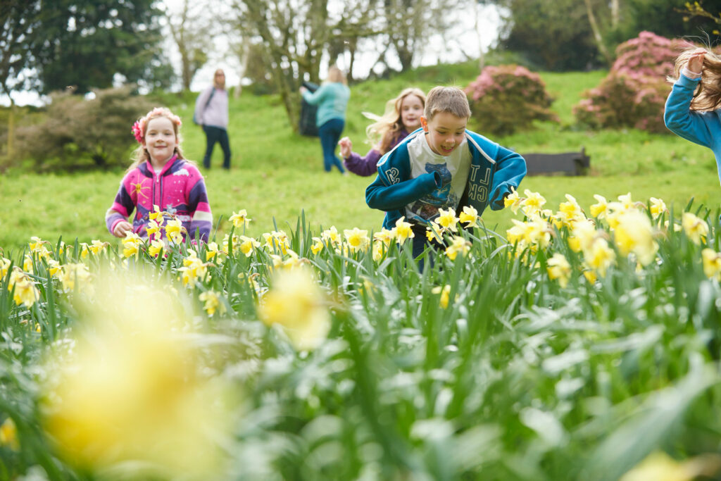 Children and daffodils
